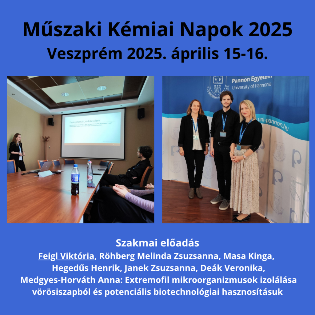 Műszaki Kémiai Napok 2025 előadás